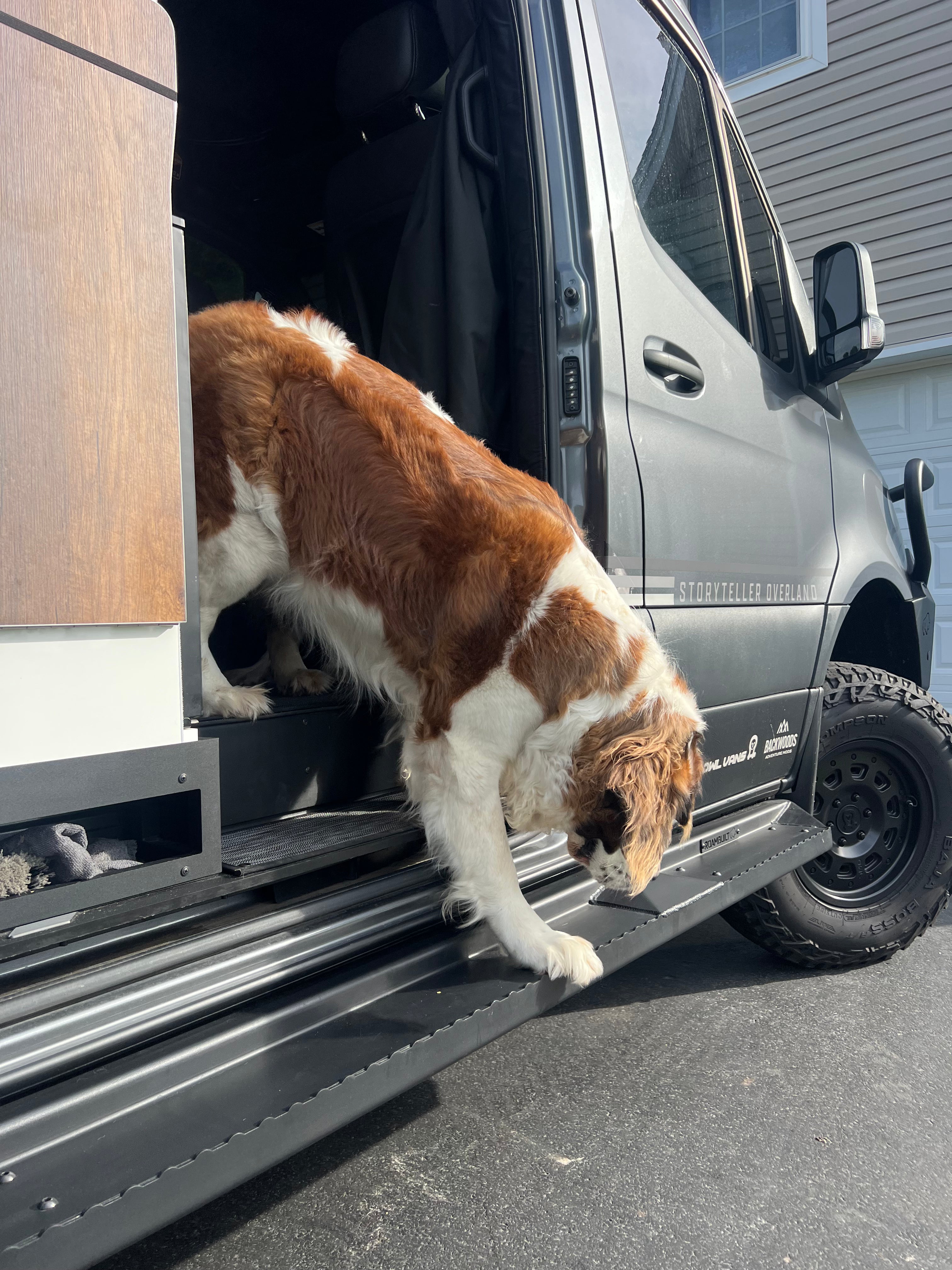 Rear angle view of ROAMBUILT Flat Side Step with a dog exiting the van, demonstrating safe, easy access using the raised grip edge step.