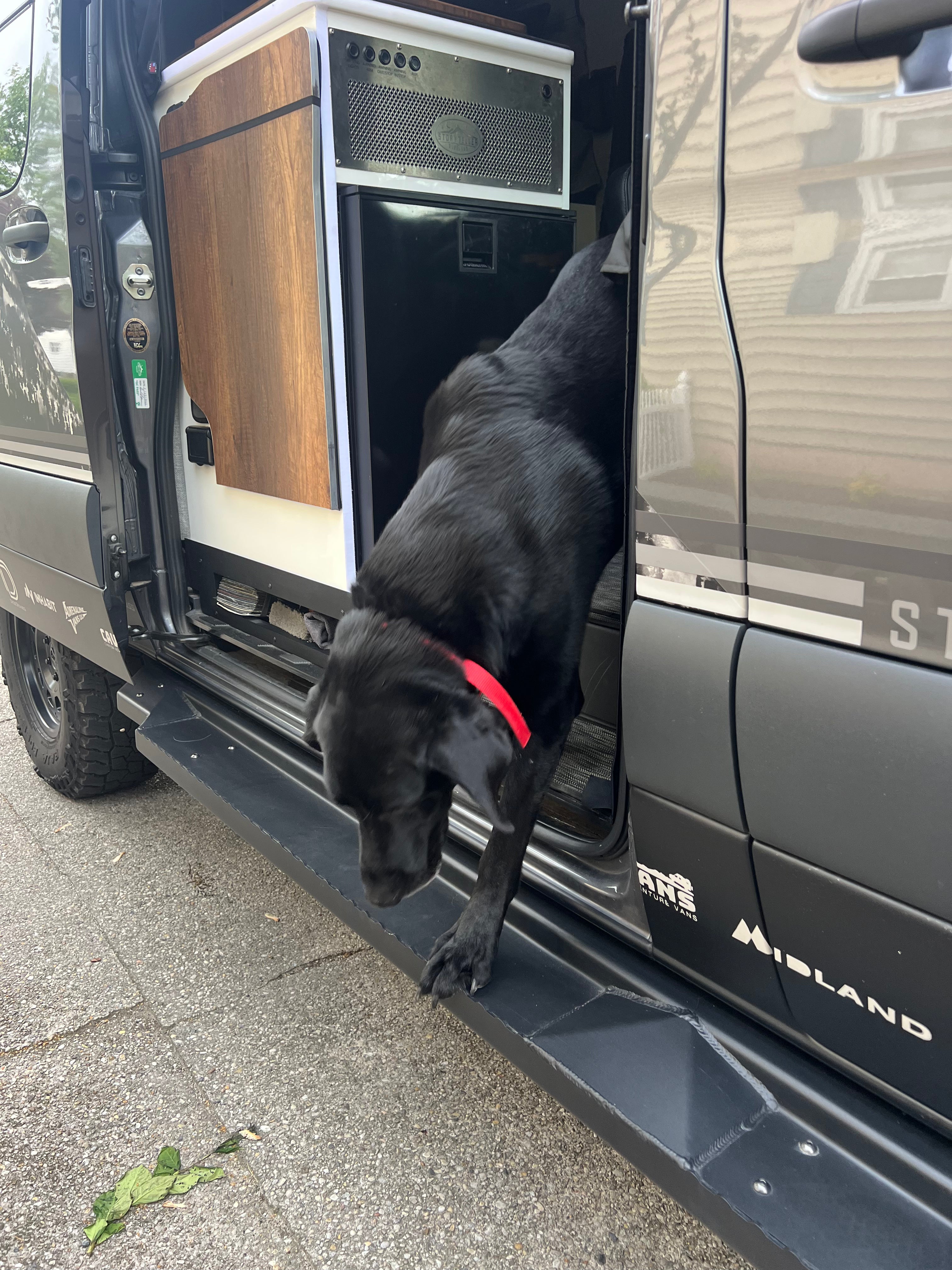 Front angle view looking down the ROAMBUILT Flat Side Step as a dog exits the van, highlighting the step’s raised grip edge and sturdy design.