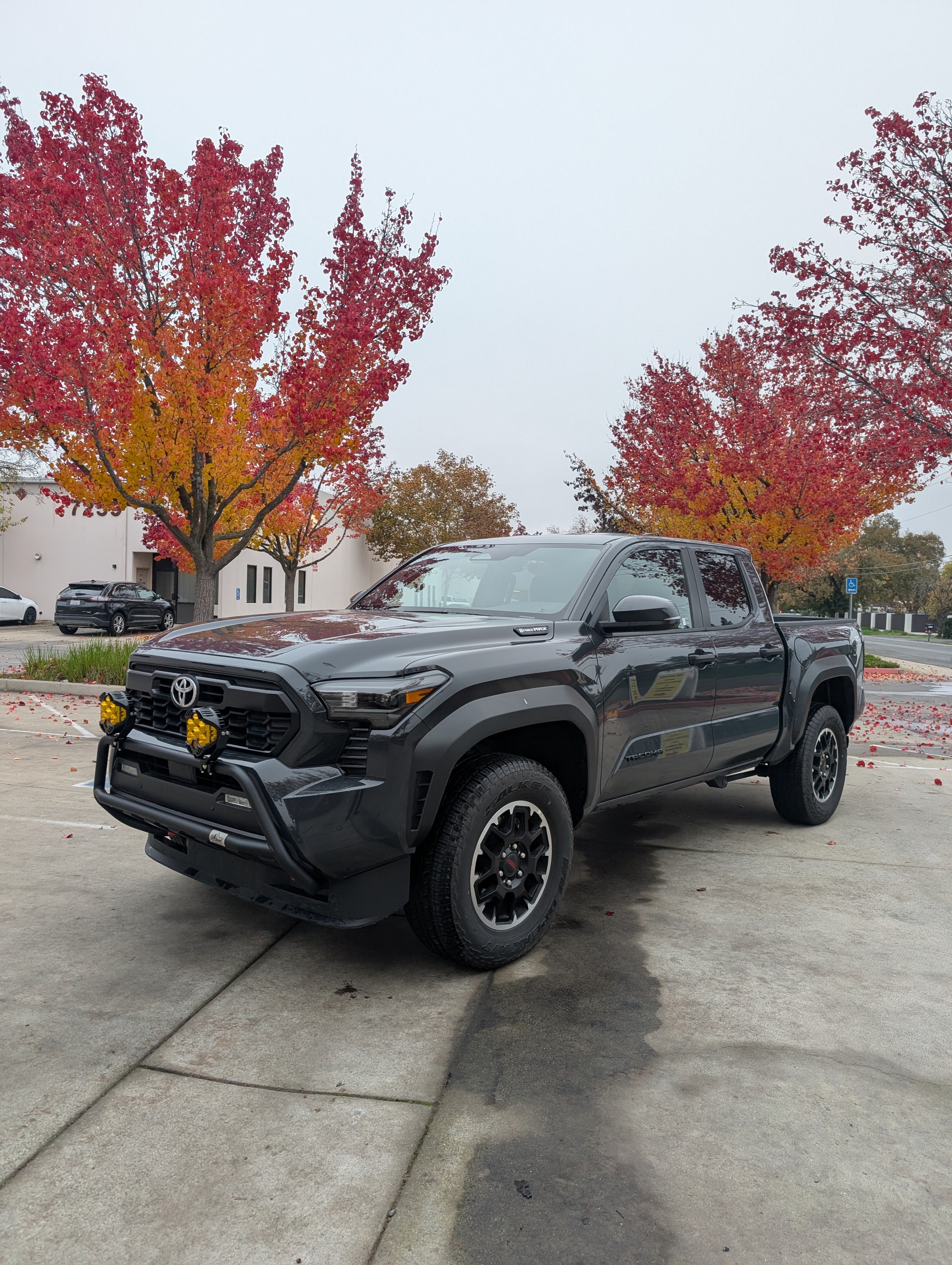 CAtuned Off-Road Toyota Tacoma Brush Bar