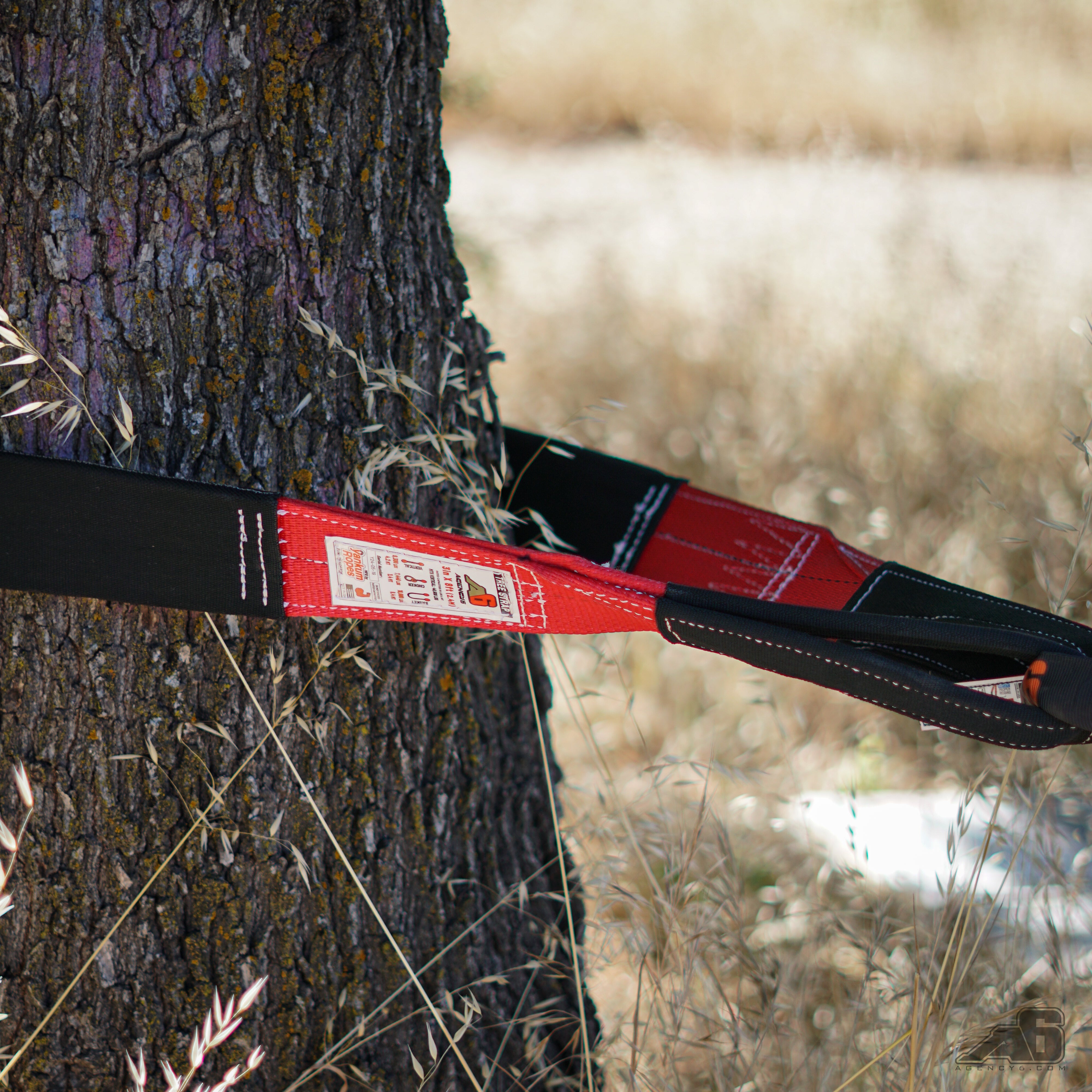 Tree strap - 3"x8' - 46,500 MTS – image 7